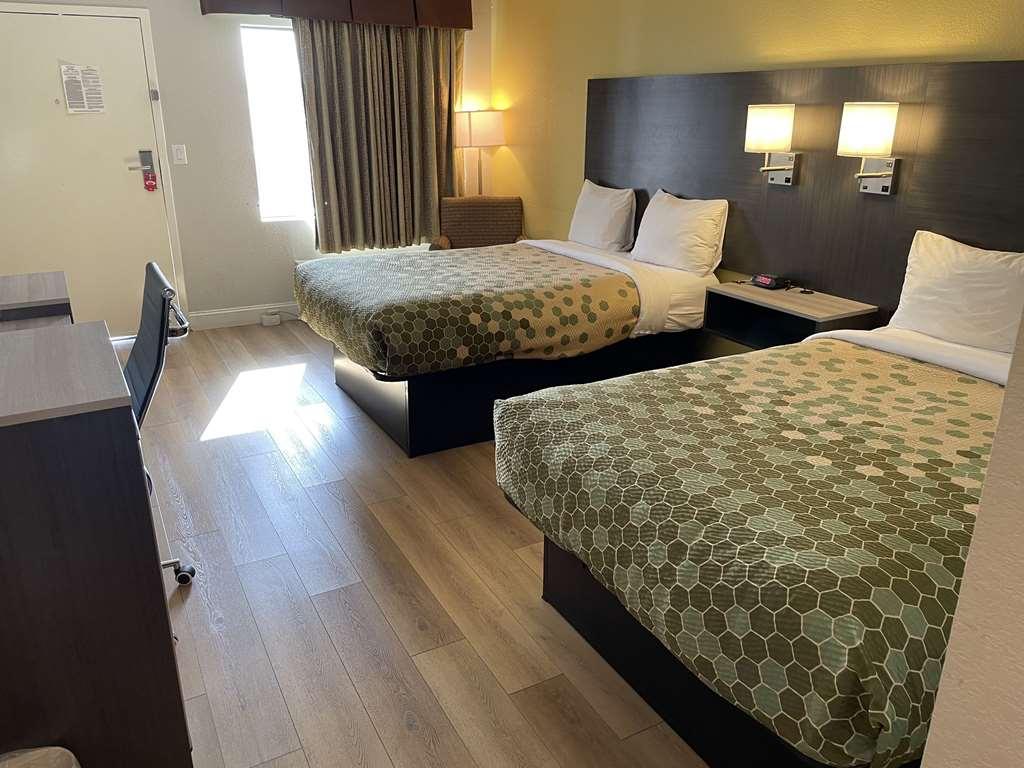 Econo Lodge White Pine Morristown I-81 & I-40 Split Room photo